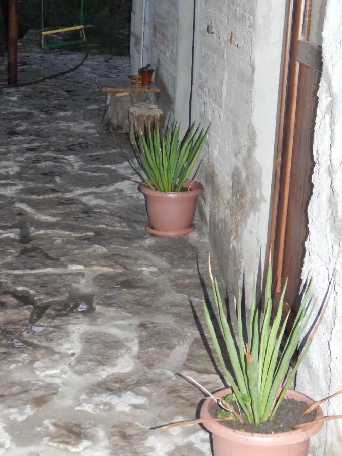 Arami Guest House Dilijan Εξωτερικό φωτογραφία